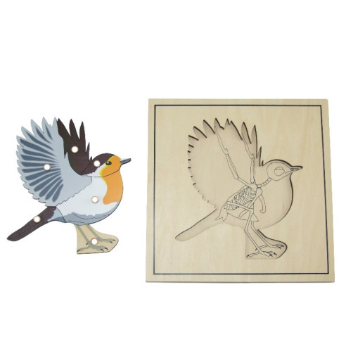 Puzzle de l'oiseau avec squelette Montessori