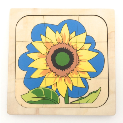 Puzzle cycle de vie du tournesol  Montessori