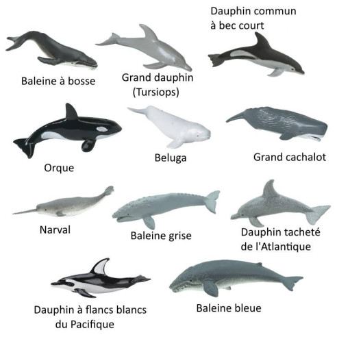 Tube - Baleines et dauphins