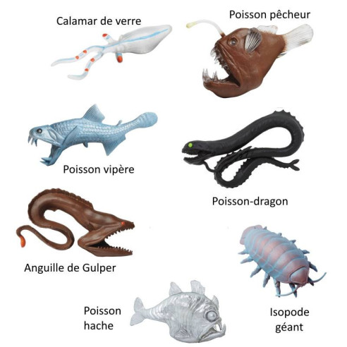 Tube - Créatures des fonds marins