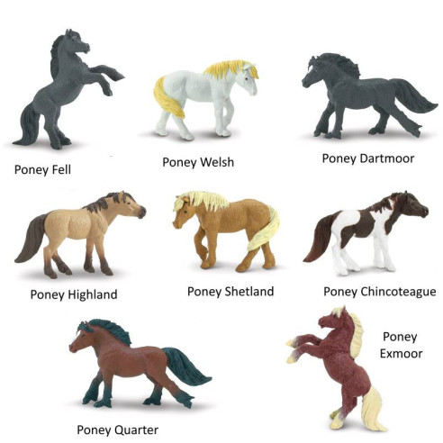 Tube - Poneys