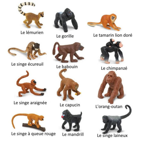 Tube - Les singes et grands singes