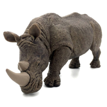 Rhinocéros