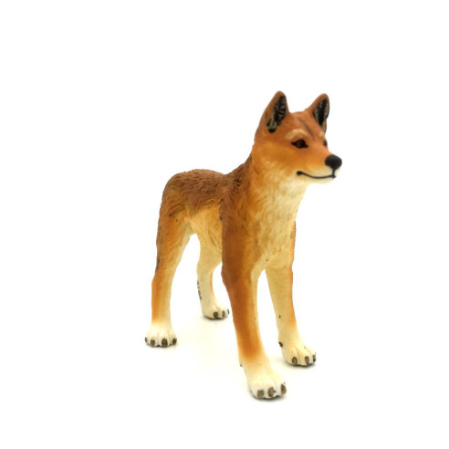 Dingo