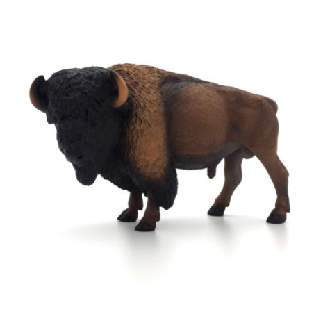 Bison