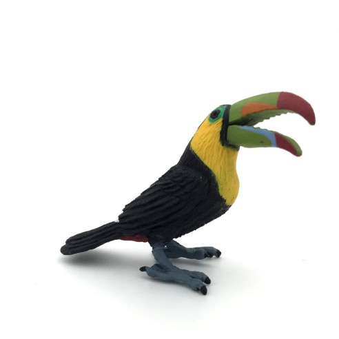 Toucan