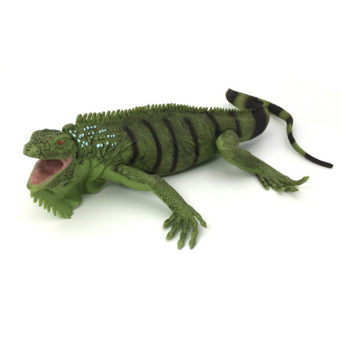 Iguane