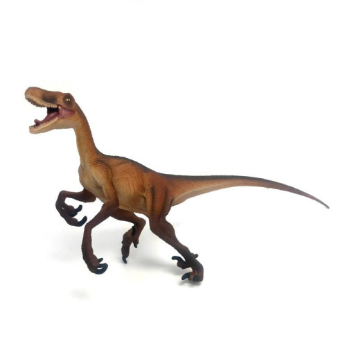 Velociraptor