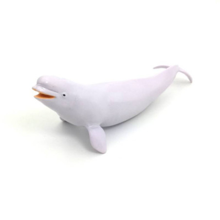 Beluga