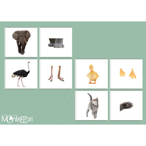 Boutique Documents Montessori - Zoologie - Cartes association animal-pattes